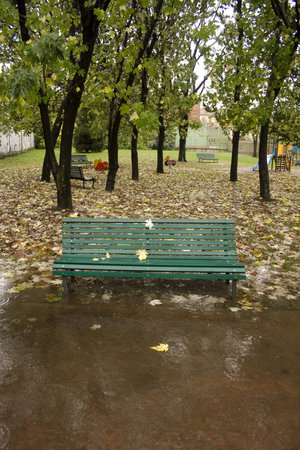 Bench in autumn under rainの写真素材