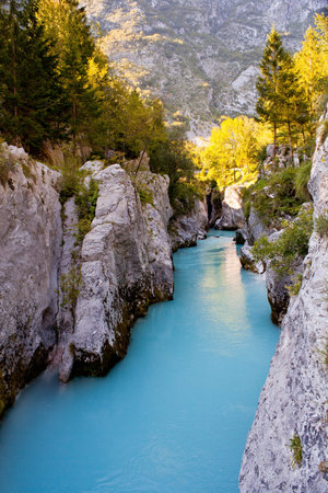 View of Slovenian Soca river in the summerの写真素材