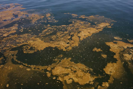 View of Polluted sea, in the Cantabrian seaの写真素材