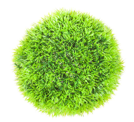 Photo of a Green ball grass isolated on white backgroundの写真素材