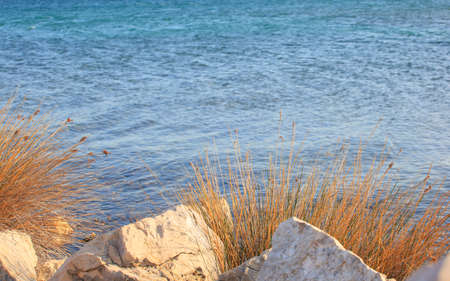 View of Punat sea, Krk island in Dalmatia - Croatiaの写真素材