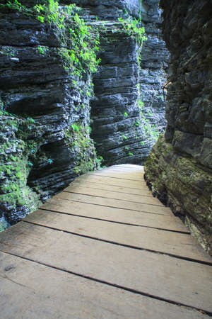 Catwalk in the forest next to the Kozjak waterfall の写真素材
