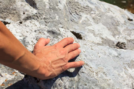 Photo of Female hand on white rockの写真素材