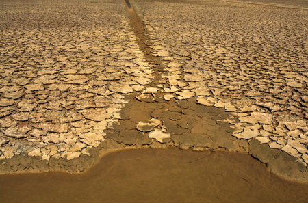 View of Salt evaporation ponds in Secovlje, Sloveniaの写真素材