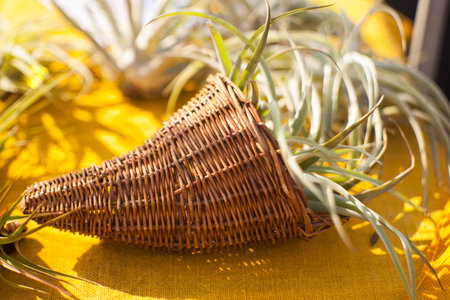 View of flowers inside a wicker basket