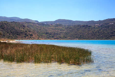 View of juncus in the Lago di Venere in Pantelleria, Sicilyの写真素材