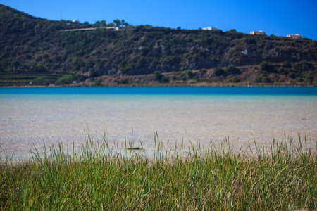 View of juncus in the Lago di Venere in Pantelleria, Sicilyの写真素材