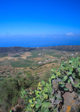 View of zibibbo Plantation in Pantelleria, Sicilyの写真素材