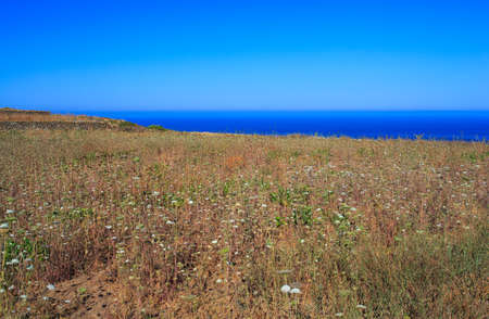 View of tipycal countryside in Pantelleria, Sicilyの写真素材