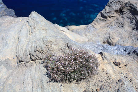 View of coast in Pantelleria, famous island in Sicilyの写真素材