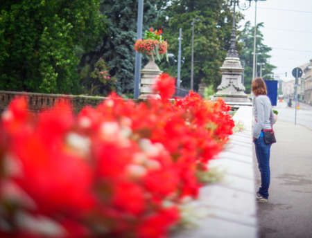 Close up of nice red flowersの写真素材
