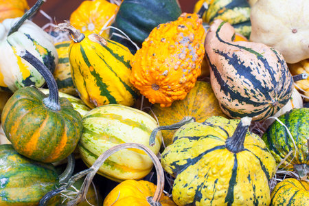 View of Pumpkins at the street marketの写真素材