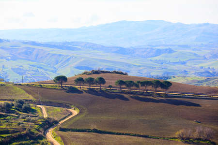 View of plowed field in the Leonforte countryside, Sicilyの写真素材