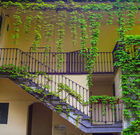 View of Italian house covered by ivyの写真素材