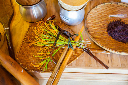 MILAN, ITALY - MAY, 20: View of tools in the Rice cluster at Expo, universal exposition on the theme Feeding the planet, Energy for life on May 20, 2015 in Milanのeditorial素材