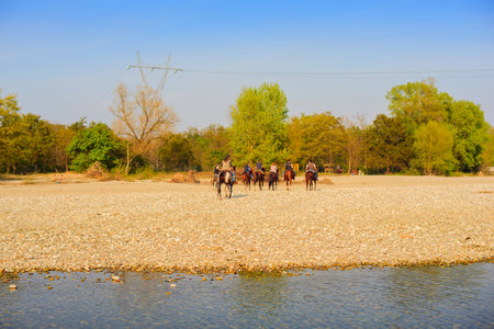 View of horses in the Ticino river, Italyのeditorial素材