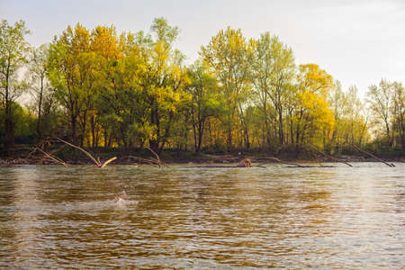 View of scenic Ticino river in Italyの写真素材