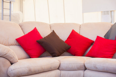 Brown and red pillows on sofa