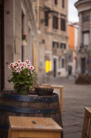 View of Flower pot on barrel in the Trieste streetの写真素材