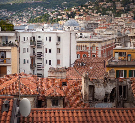 Top view of the city of Trieste, Italyのeditorial素材