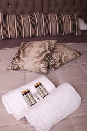 Double bedroom of the Ares Hotel, Milanのeditorial素材