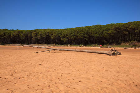 LIENCRES DUNES, SPAIN - AUGUST, 21: View of the Liencres dunes nature reserve in the Cantabrian sea on August 21, 2016の写真素材