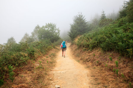 CEBREIRO, SPAIN - AUGUST, 09: Pilgrimn along the way of St. James on August 09, 2016の写真素材