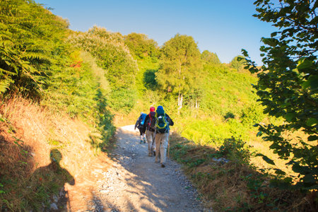 GALICIA, SPAIN - AUGUST, 10: Pilgrimns along the way of St. James on 10, 2016のeditorial素材