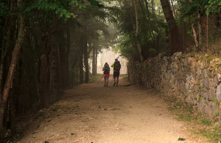 CEBREIRO, SPAIN - AUGUST, 09: Pilgrimns along the way of St. James on August 09, 2016のeditorial素材