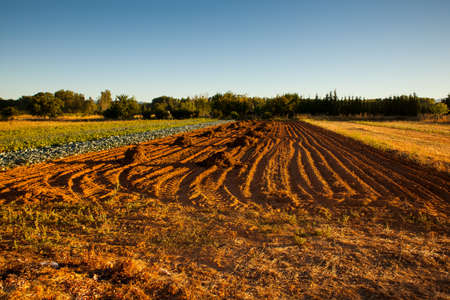View of cultivated field in the spanish countrysideの写真素材