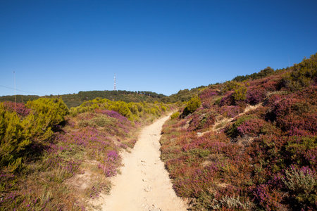 Road in the spanish countryside along the way of St. James