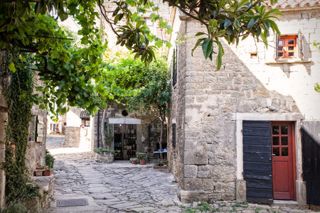 View of typical Groznjan alley, Istria. Croatia