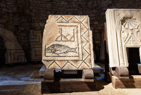 Floor mosaic fragment with an image of a fish in the Euphrasian Basilica. Porecの写真素材