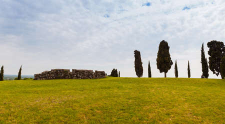 View of Cypress and stone wall, Fagagna. Italyの写真素材