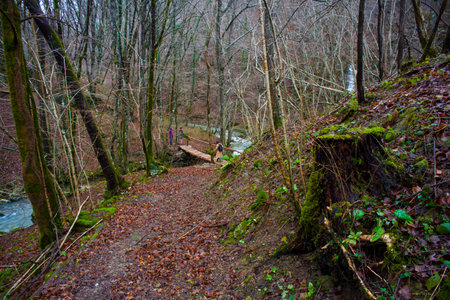 POTRAUNO, SLOVENIA - DECEMBER, 09: Bridge on creek in the wooded forest trees in the autumn season on December 09, 2017のeditorial素材