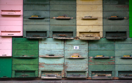 Close up of several wooden vintage mailboxes