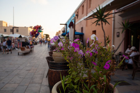 LAMPEDUSA, ITALY - JULY, 31: Flowers pot in the Lampedusa street, Sicilian island in the middle of the mediterranean sea on July 31, 2018のeditorial素材