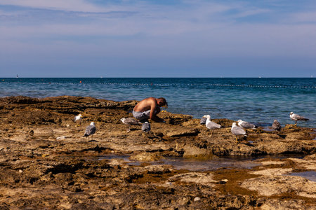 BALE - VALLE, CROATIA - JULY 09: Flock of seagulls flying near the man cleaning fish on the beach on July 09, 2019のeditorial素材