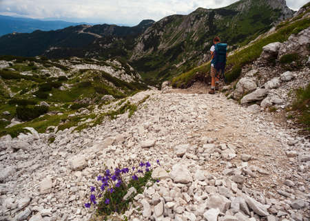 Young woman with backpack hiking along the path in the scenic Vogel mountain part of southern Julian Alps and Triglav National Park heritage of Sloveniaの写真素材