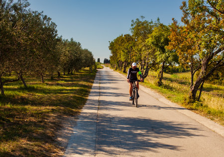 Strunian, Slovenia - September, 19: Mountain Bike cyclist riding countryside track next to the olive groove on September 19, 2020のeditorial素材