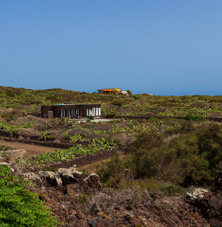 Characteristic view of Linosa with the typical colorful houses and the pricly pears in the garden, Linosa. Sicilyの写真素材