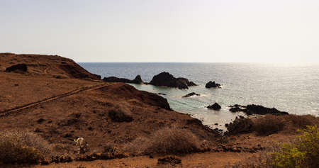 View of the scenic lava rock cliff in the Linosa island. Sicilyの写真素材