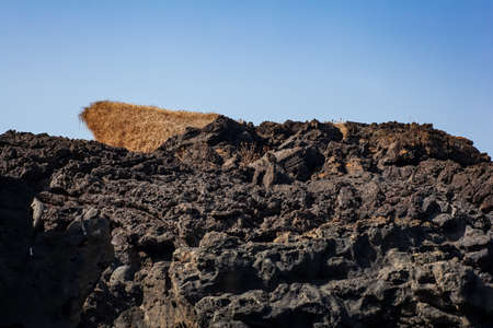 View of the lava rock of Linosa, Sicily. Italyの写真素材