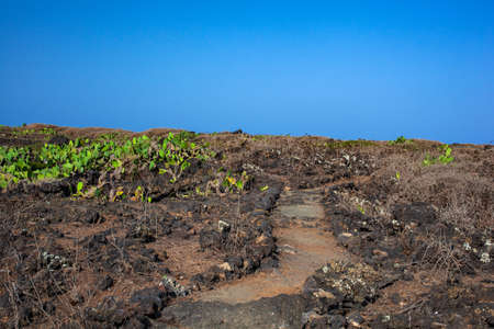 View of the Turriache path in Linosa, Sicily. Italyの写真素材