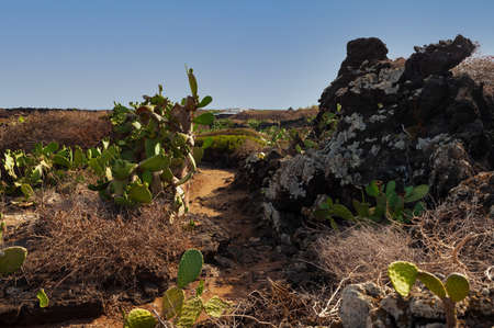 View of the Turriache path in Linosa, Sicily. Italyの写真素材