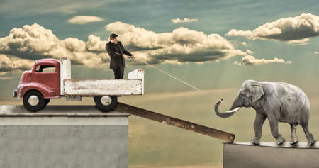 A man using a rope tries to pull an elephant onto the pickup truck against his willの写真素材