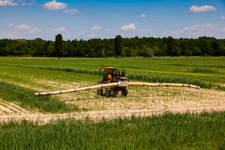 A farmer with Tractor fertilize wheat field Spraying pesticide and insecticide, Italyの写真素材