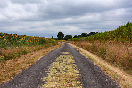 Early morning view of the field along the Chemin du Puy, French route of the way of St Jamesの写真素材