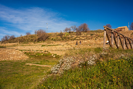 Panoramic view of the Greek archaeological site of Morgantina, in the interior of Sicily in Italy.のeditorial素材