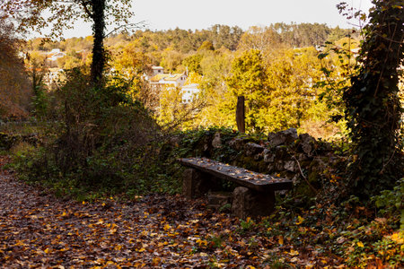 Old Wooden Bench with dead leaves in autumn season, Slovenia